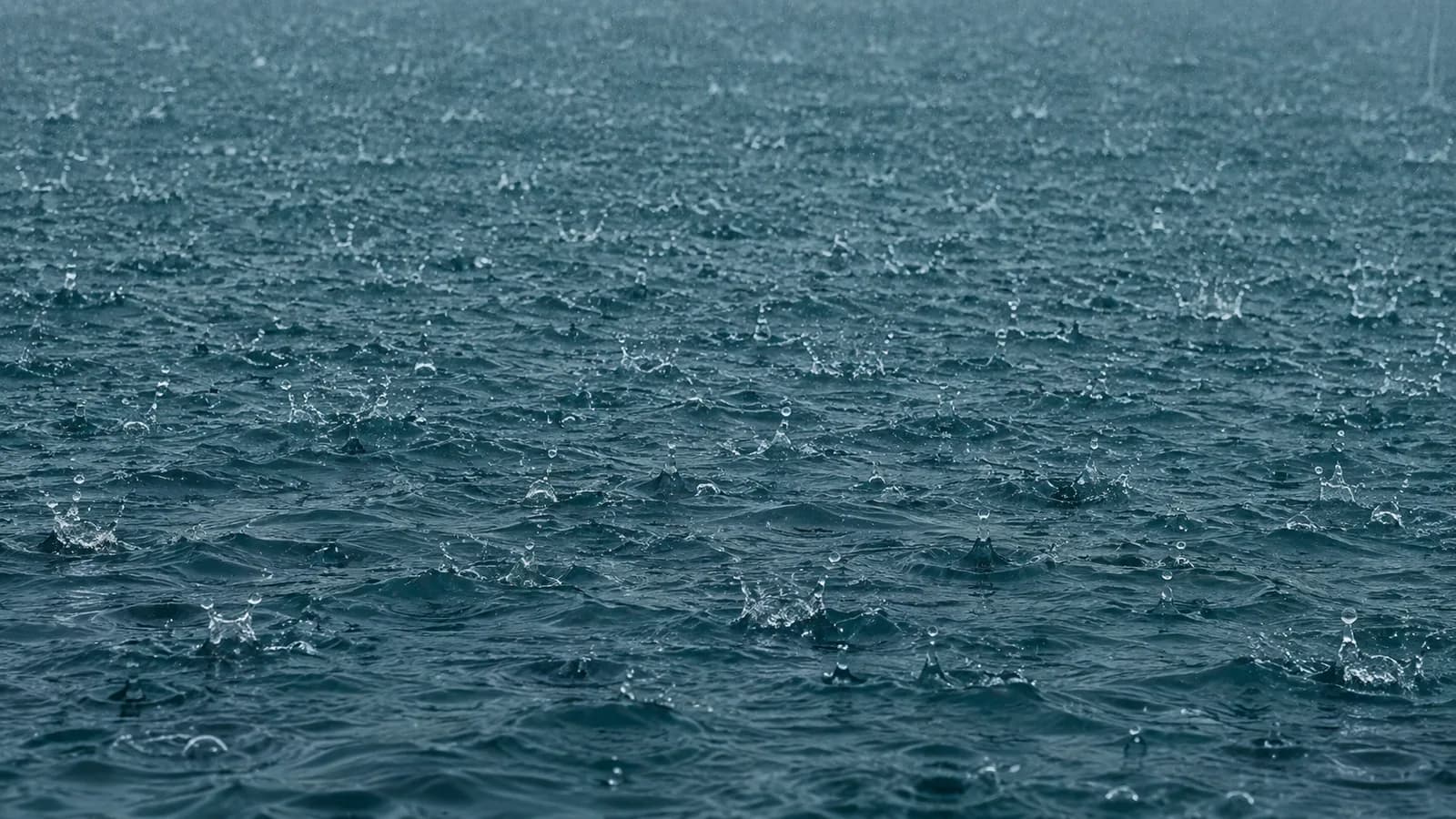 Kerala Rain