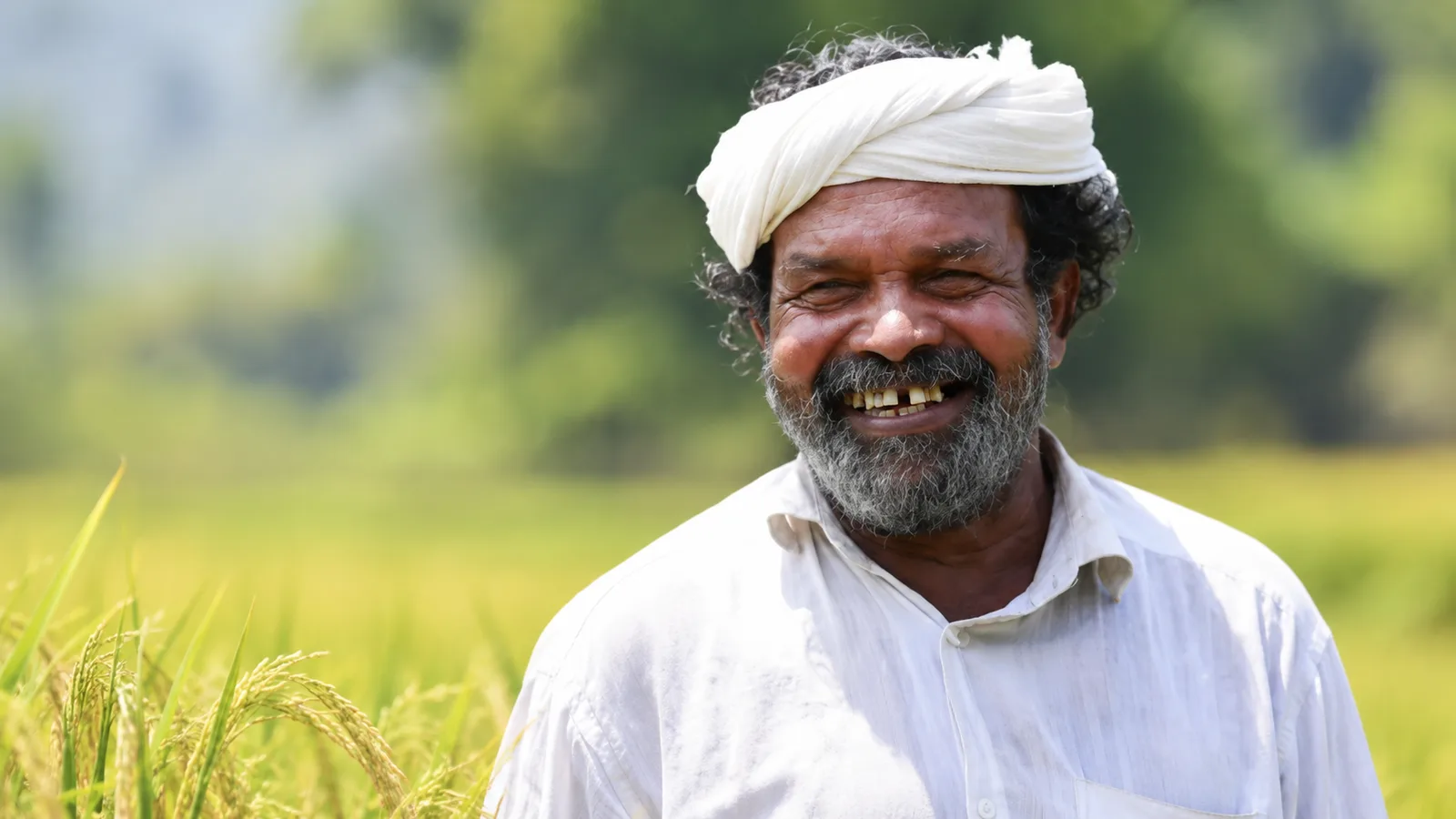 padmasree cheruvayal raman